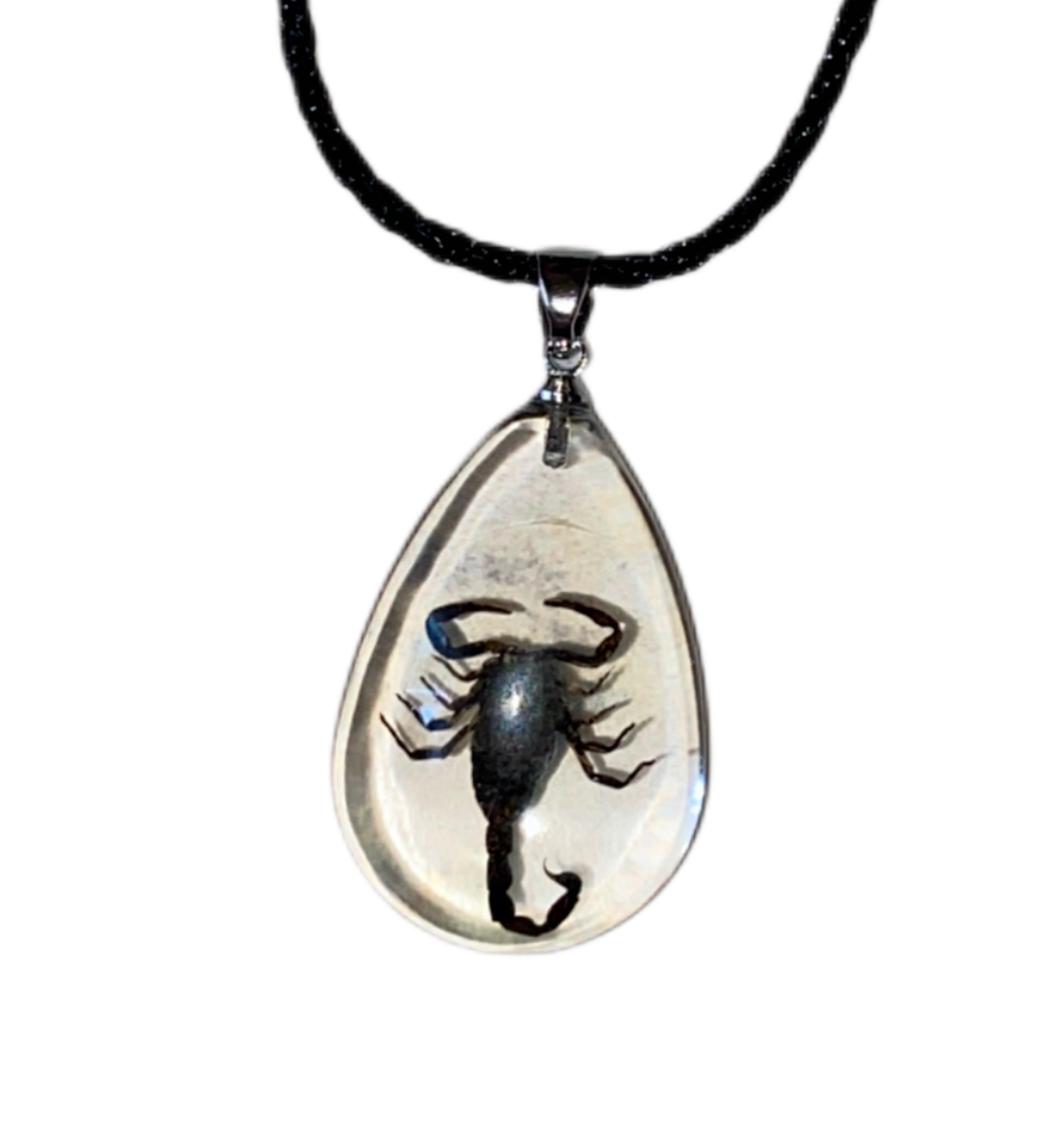 Collar 15